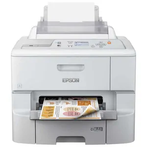 Замена памперса на принтере Epson WF-6090DTWC в Ростове-на-Дону